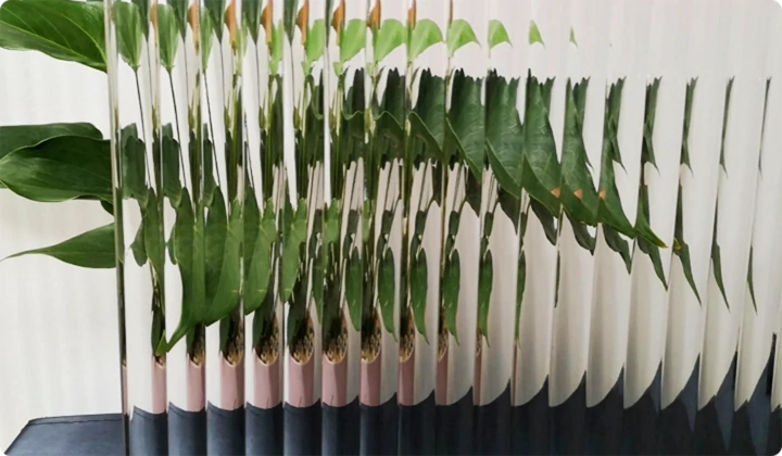 tempered glass features