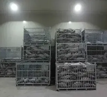 china tempered glass manufacturer